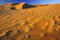 Ripples in the sand dunes, Namib-Naukluft NP, Namib desert, Namibia