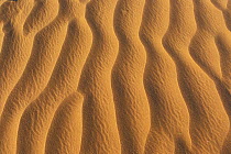 Close-up detail of ripples in the sand dunes, Namib-Naukluft NP, Namib desert, Namibia