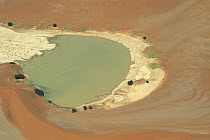 View of lake surrounded by sand dunes, with some vegetation growing around the edges, Namib Naukluft NP, Namib desert, Namibia