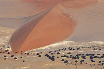Aerial view of Tsauchab valley, Namib Naukluft NP, Namib desert, Namibia