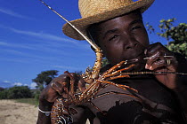 Lobster fisherman holding lobster, Sainte Luce fishing village, South East Madagascar