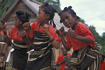 Girls doing a traditional Antandroy dance, Berenty Reserve, South Madagascar