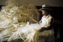 Sisal (Agave sp.) processing factory for manufacturing rope, Berenty Private Reserve, Madagascar