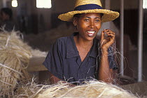 Woman working in a Sisal (Agave sp.) processing factory for manufacturing rope, Berenty Private Reserve, Madagascar