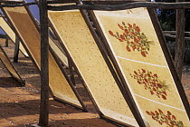 Antemoro paper making, made from crushed Havoha bark with flowers decorating the final sheet, Fianarantsoa, Madagascar