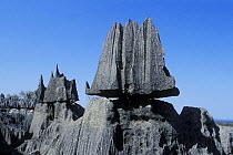 Eeroded limestone pinnacles in 'Tsingy', Bemahara NP, Madagascar