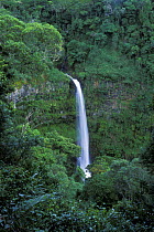 Antamboka falls in rainforest, Montagne d'Ambre NP, Madagascar