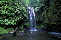 Little waterfall in rainforest, Montagne d'Ambre NP, Madagascar