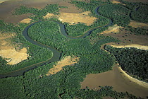 Aerial view of a river flowing through mangroves, West coast of Madagascar