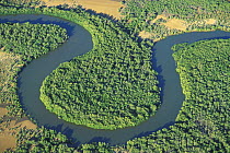 Aerial view of river meandering through mangroves, West coast of Madagascar