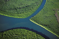 Aerial view of river and mangrove forest, West coast, Madagascar