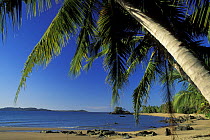 Beach withh palm trees, on the small Nosy Komba island, Nosy Be area, Madagascar