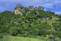 Montagne des Français in tropical dry forest, Diego Suarez area, Madagascar