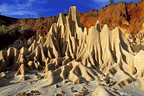 Red Tsingy created by erosion, Diego Suarez area, Madagascar