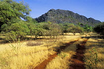 Track ins Ankarana Special Reserve, Madagascar
