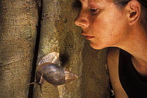 Woman looking at a snail foundin the Ankarana Special Reserve, Madagascar