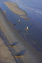 Aerial view of Pirogues / Outrigger canoes along the beach, Vezo country, West Madagascar