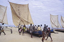Vezo fishermen with their pirogues returning to beach after fishing, West Madagascar