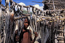 Child looking out from between octopus hung up to dry in Vezo village, West Madagascar