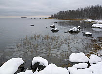 Bothnia Bay with frozen sea water, November 2007, Finland