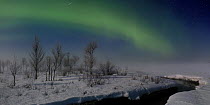 Northern lights, Aurora borealis, aurora arch and moonshine, North Finland 2007