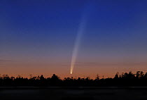 Comet of McNaught, February 2006, northern Finland