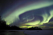 Northern lights, Aurora borealis, over Bothnian Bay, Finland 2008