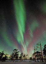 Northern lights, Aurora borealis, Lapland, Finland 2004