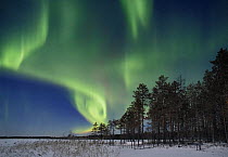 Northern lights, Aurora borealis, moonshine night, Finland 2007