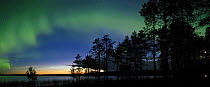 Noctilucent clouds and Northern lights, Aurora borealis, Pudasjärvi, Northern Finland, August 2003
