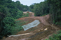 Construction of a new road crossing Babeldaob Island causes major erosion problems in rainforest. Babeldaob Island, Palau, December 2001.