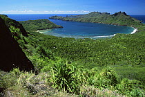 View of Anaho Bay, with Coconut palm plantation in lowlands and Pandanus plants in foreground. Nuku Hiva Island, Marquesas Islands, French Polynesia