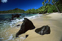 Beach with lava rocks and coconut palms in Anaho Bay, Nuku Hiva Island, Marquesas Islands, French Polynesia