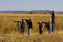 Photographers at work, Bosque del Apache National Wildlife Refuge, New Mexico, USA
