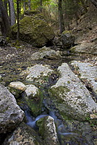 Stream in "Valley of the butterflies", home of millions of Jersey tiger moths (Euplagia quadripunctaria), Rhodes, Greece