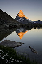 Sun hitting the peak of The Matterhorn (4478m) at sunrise with reflection in Lake Riffelsee, Switzerland