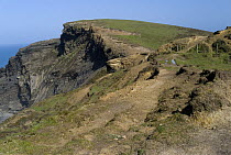 Erosion on the South West Coastal path near Crackington Haven, North Cornwall, UK