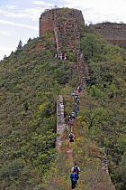 A group of hikers ascend steep steps leading to a section of the Great Wall of China, Hebei Province, September 2007