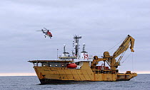 A helicopter taking off from the deck of the dive support vessel Seaway Osprey in the North Sea, January 2006