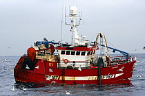 Fishermen on the Banff-registered fishing vessel, Faithful, takes onboard a full catch of prawns in the North Sea, January 2006