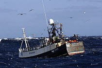 Fishermen onboard the Peterhead-registered fishing vessel Demares prepare to haul nets in the rough waves of the North Sea, February 2006