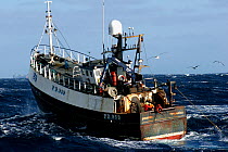 Cod fishermen onboard a Peterhead-registered fishing vessel Demares prepare to haul nets in the rough waves of the North Sea, February 2006