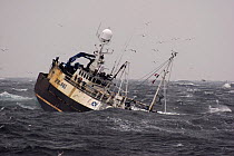 The Fraserburgh-registered fishing vessel Carisanne battles through rough waves in the North Sea heading for the fishing grounds, May 2006