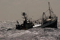 Silhouette of the fishing vessel Carisanne battling through heavy sea swells in the North Sea, May 2007