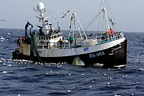 Fishermen on the Fraserburgh-registered fishing vessel Carisanne winch a net of cod and haddock onboard in the North Sea, June 2007