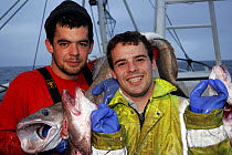 Fishermen onboard a fishing vessel in the North Sea show a catch of ling, 2007