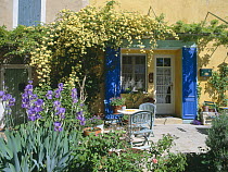 Terrace garden with flowers outside traditional village house, Roussillon, Provence, France, June 2004