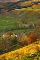 View over farm buildings at Arncliffe, Littondale, Yorkshire Dales National Park, England, UK, autumn