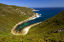 Jimmy Newhills Harbour, Torndirrup National Park,  Albany, Western Australia