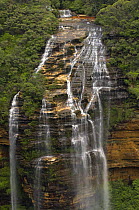 Wentworth Falls, Blue Mountains National Park, New South Wales, Australia